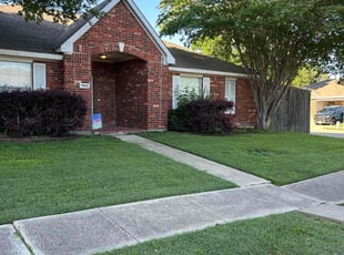 Luna C.'s turf maintenance service result