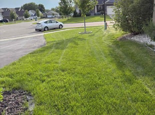 Kimberly E.'s lawn service service result