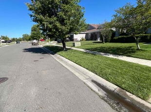 David K.'s grass cutting service result
