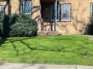 Awwad G.'s lawn maintenance service result