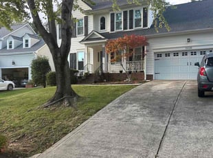 Luke D.'s grass cutting service result