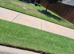 Mackie M.'s lawn service service result