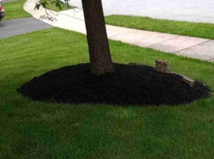 Cheryl C.'s Mulching service result