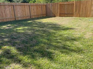 Sherri E.'s turf care service result