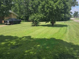 Carole M.'s lawn maintenance service result