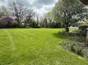 Jeffrey K.'s lawn care services service result