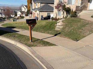 Rajbir D.'s Custom service service result