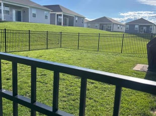 Shamica C.'s lawn care service result