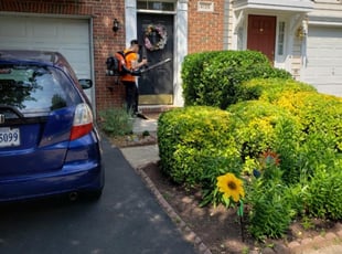 Nicole H.'s Bush Trimming service result