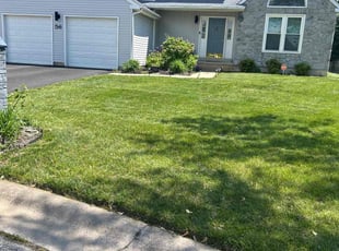 Thomas C.'s lawn maintenance service result