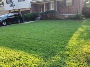 Brenda C.'s turf care service result