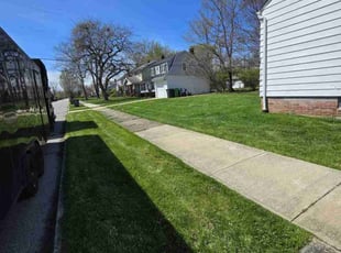 Allen K.'s turf care service result