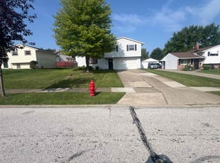 Kelly V.'s turf care service result