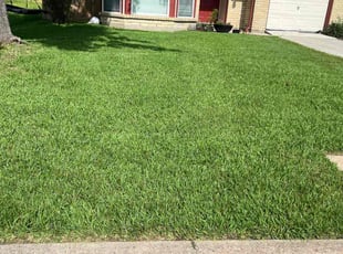 Susan H.'s lawn maintenance service result