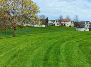 Ken K.'s turf maintenance service result