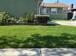 Judy B.'s grass maintenance service result