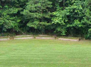 Christine B.'s Flower Bed Weeding service result