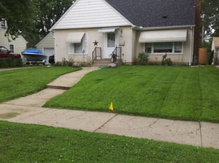 Jane Y.'s grass maintenance service result