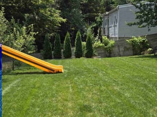 Gloria R.'s lawn care services service result