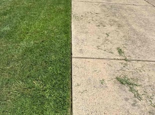 Lauren G.'s turf maintenance service result