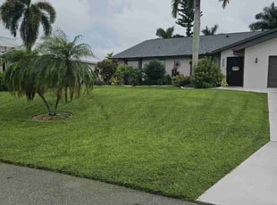 Saliq M.'s grass cutting service result