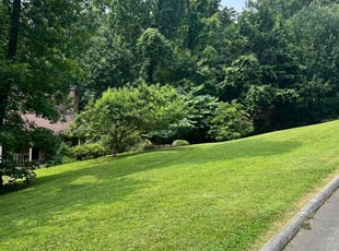 Chris M.'s turf care service result
