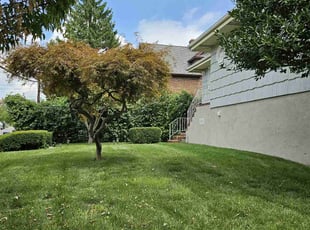 Glenroy S.'s lawn maintenance service result