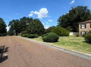 Ajaang D.'s lawn maintenance service result