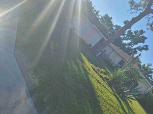 David H.'s turf care service result