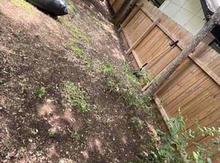Amanda W.'s Cleanup service result