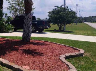 Tiffany A.'s lawn service service result