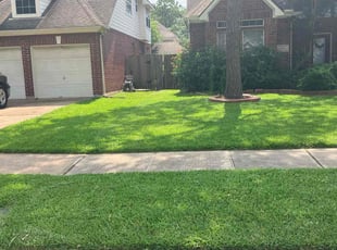 Tabowei G.'s grass maintenance service result