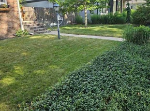 Dhruvi P.'s lawn care services service result