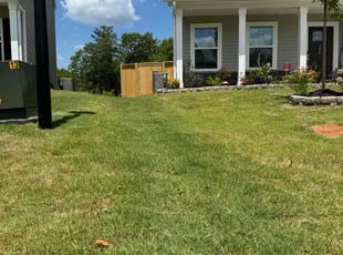 Jason B.'s lawn care service result
