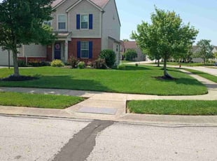 Terry S.'s lawn care service result
