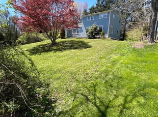 Brandon M.'s grass cutting service result