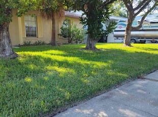 Amber M.'s grass cutting service result