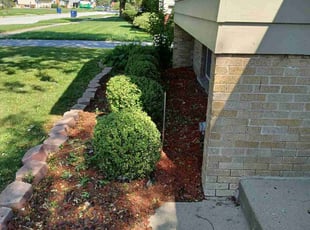 Scott L.'s Bush Trimming service result