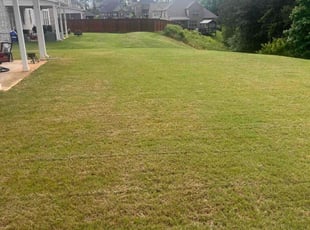 Jacob C.'s grass maintenance service result