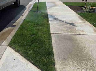 Mrs. K.'s lawn care services service result