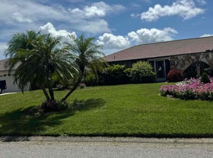 Larissa R.'s grass cutting service result