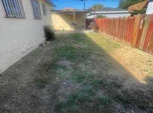 Paul R.'s turf care service result