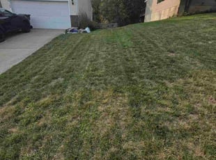 Eric K.'s grass cutting service result