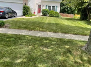 Rodney H.'s grass maintenance service result