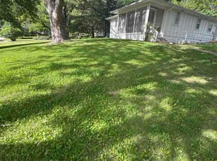 James H.'s lawn care services service result