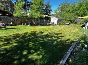 Shannon S.'s lawn service service result