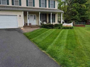 Aretha S.'s lawn care service result
