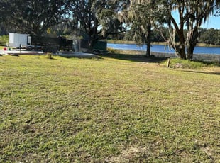 Jacqueline C.'s grass maintenance service result