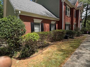 Stacey R.'s Bush Trimming service result