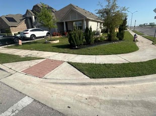 Tyler R.'s turf maintenance service result